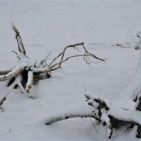 Haus 1795 Sperber Semesterbostad *